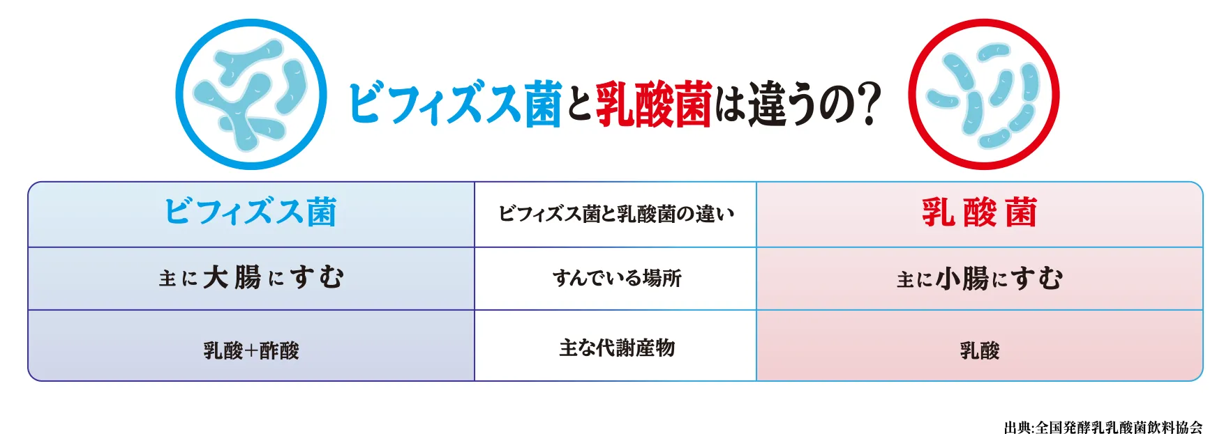ビフィズス菌と乳酸菌は違うの？［ビフィズス菌］すんでいる場所：主に大腸にすむ／主な代謝産物：乳酸+酢酸［乳酸菌］すんでいる場所：主に小腸にすむ／主な代謝産物：乳酸／出典：全国発酵乳乳酸菌飲料協会