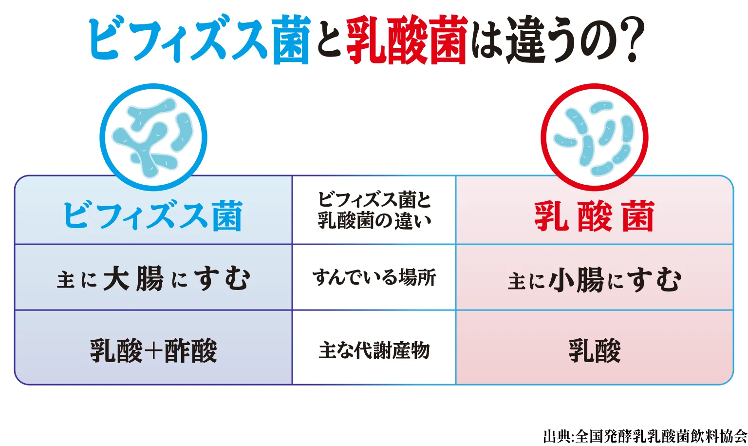 ビフィズス菌と乳酸菌は違うの？［ビフィズス菌］すんでいる場所：主に大腸にすむ／主な代謝産物：乳酸+酢酸［乳酸菌］すんでいる場所：主に小腸にすむ／主な代謝産物：乳酸／出典：全国発酵乳乳酸菌飲料協会