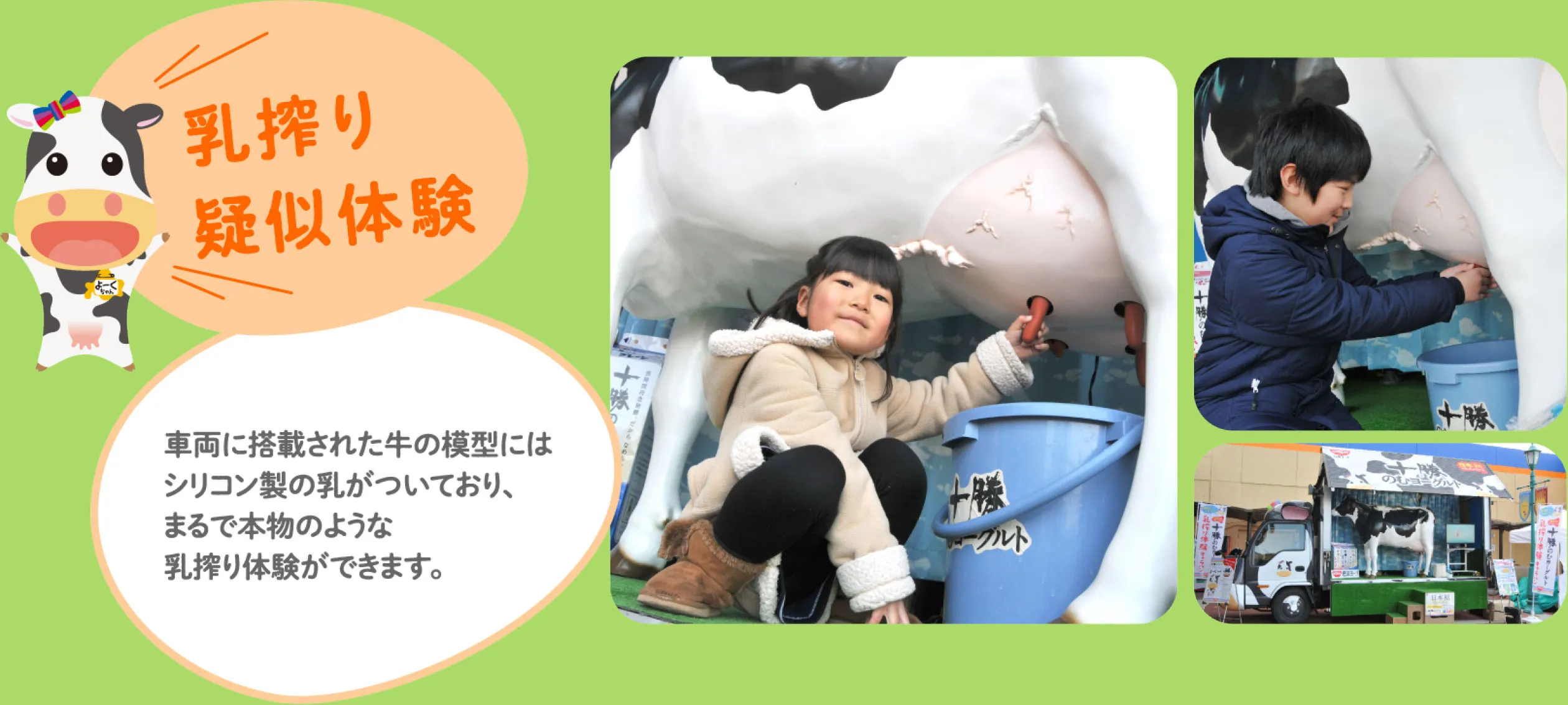 ［乳搾り疑似体験］車両に搭載された牛の模型にはシリコン製の乳がついており、まるで本物のような乳搾り体験ができます。