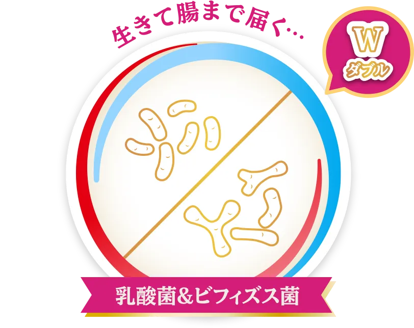 生きて腸まで届く…［W（ダブル）］乳酸菌&ビフィズス菌